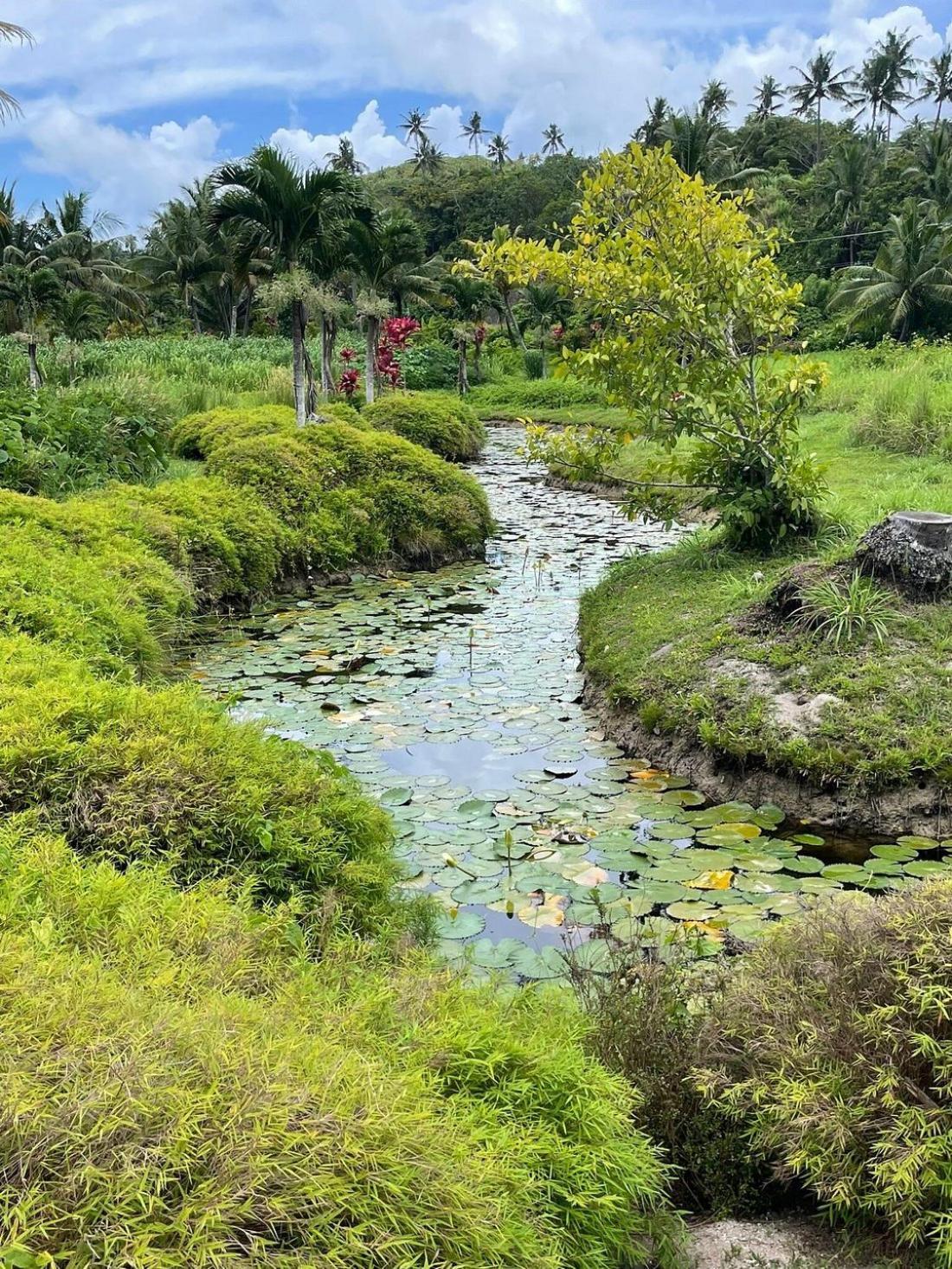 Sigasiga Sands Boutique Bungalows Savusavu Ngoại thất bức ảnh